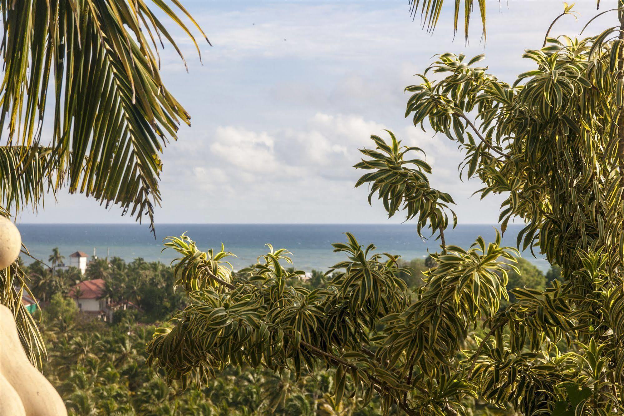 منتجع أوفر ذا هيل Poovar المظهر الخارجي الصورة
